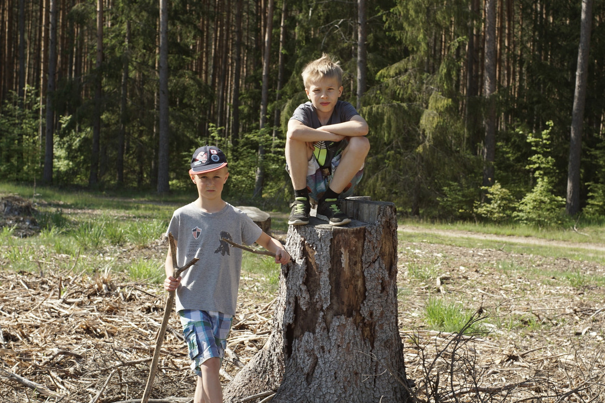 13 - DSC00618 (zbychowiec)