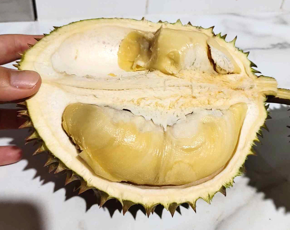 sweet_durian_01