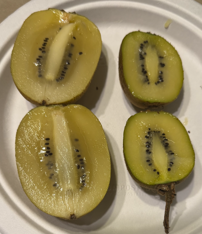 kiwi3