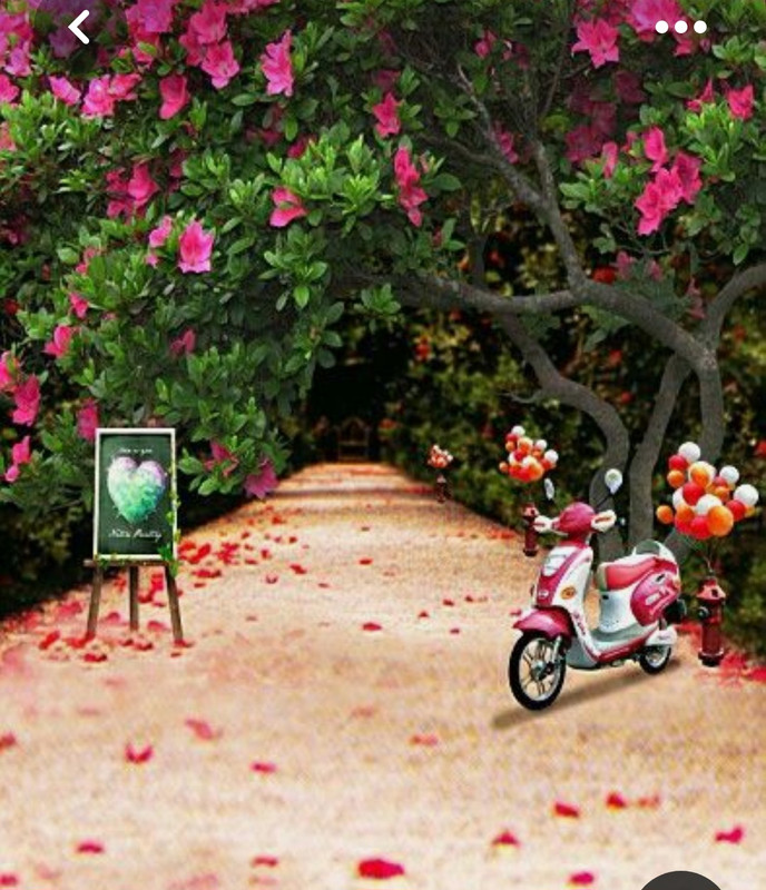 Screenshot_20230712_005931_Pinterest