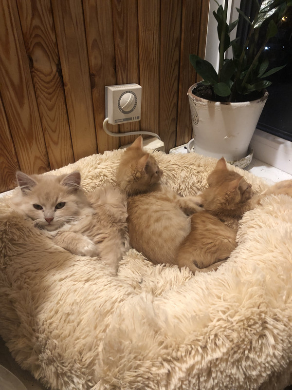 6DE2A307-E82E-47B7-888C-99D915C2852D