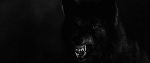 tumblr-a008a37ddb9909396e652d875ba4c454-cd60e819-500.gif