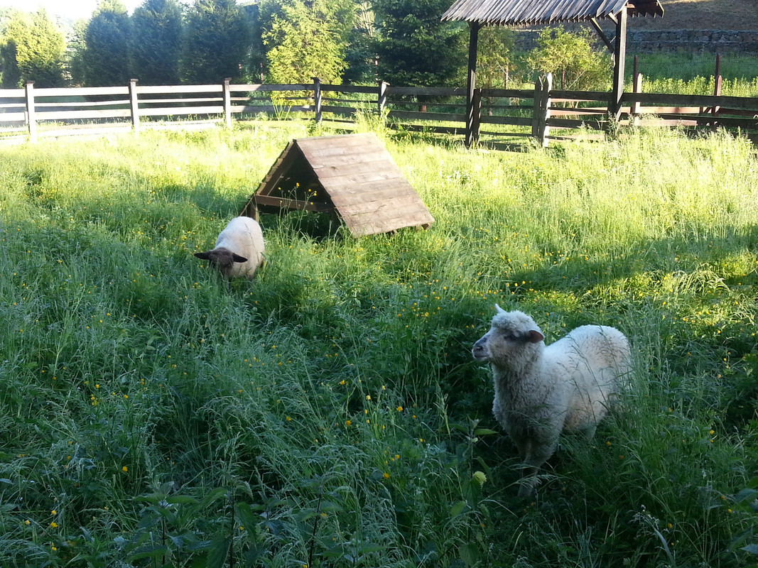 152 - wrzaskun3 (VdL)