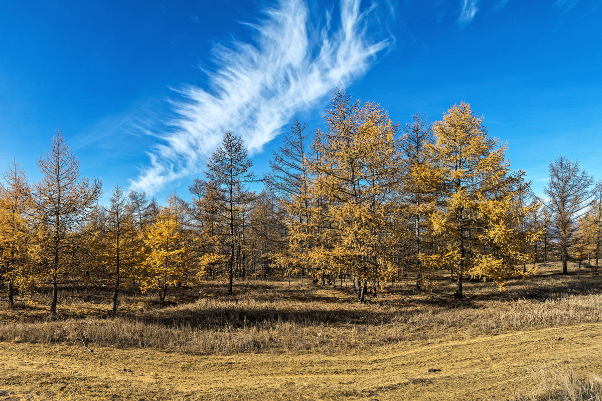 DSC08348 Панорама