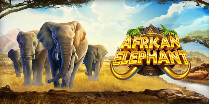 Pola Auto Maxwin Slot African Elephant Yang Wajib Dicoba