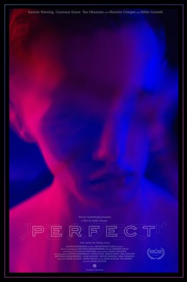Doskonałość / Perfect (2018) PL.WEB-DL.XviD-GR4PE | Lektor PL