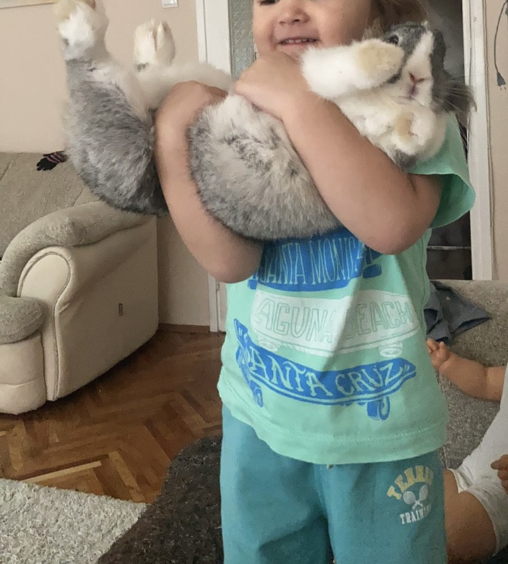 139DF81F-AC17-4EE3-8AF8-F518C1CEA42B