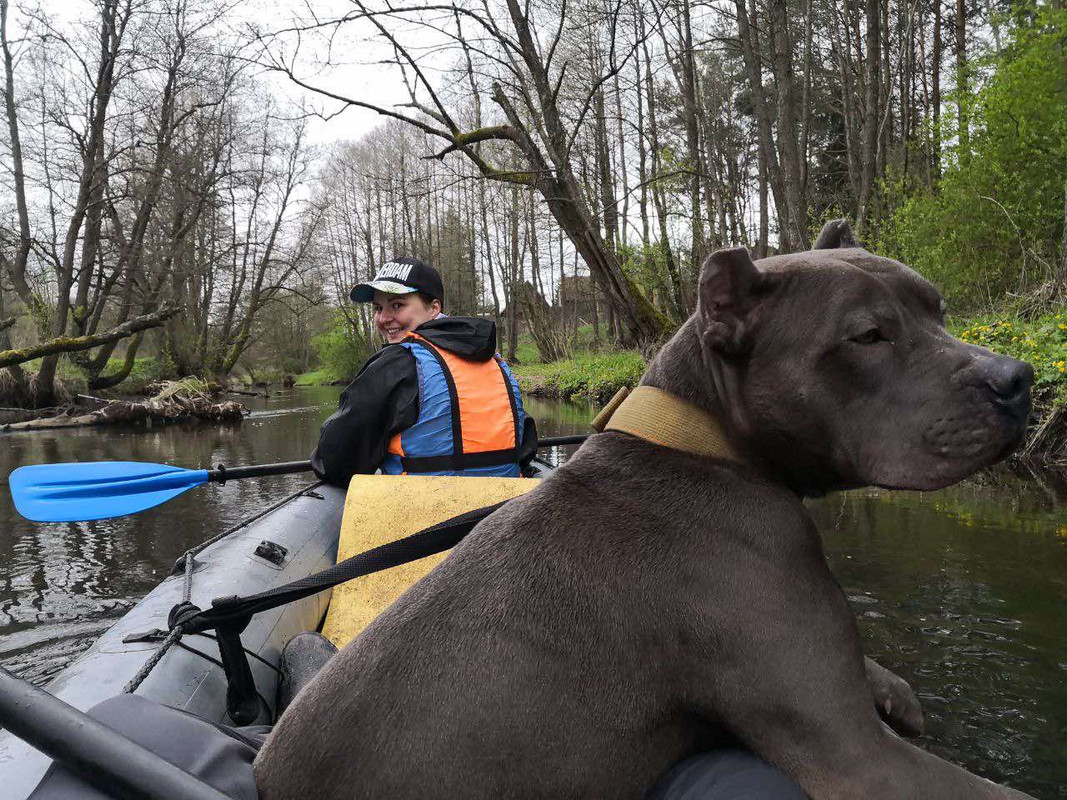 2DB3BC03-6CE4-4FAF-B186-4CF99E816BE7