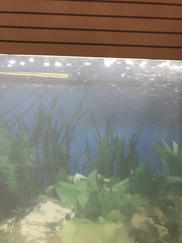 695AD5C8-BD60-4847-8F18-FCFF5865028A