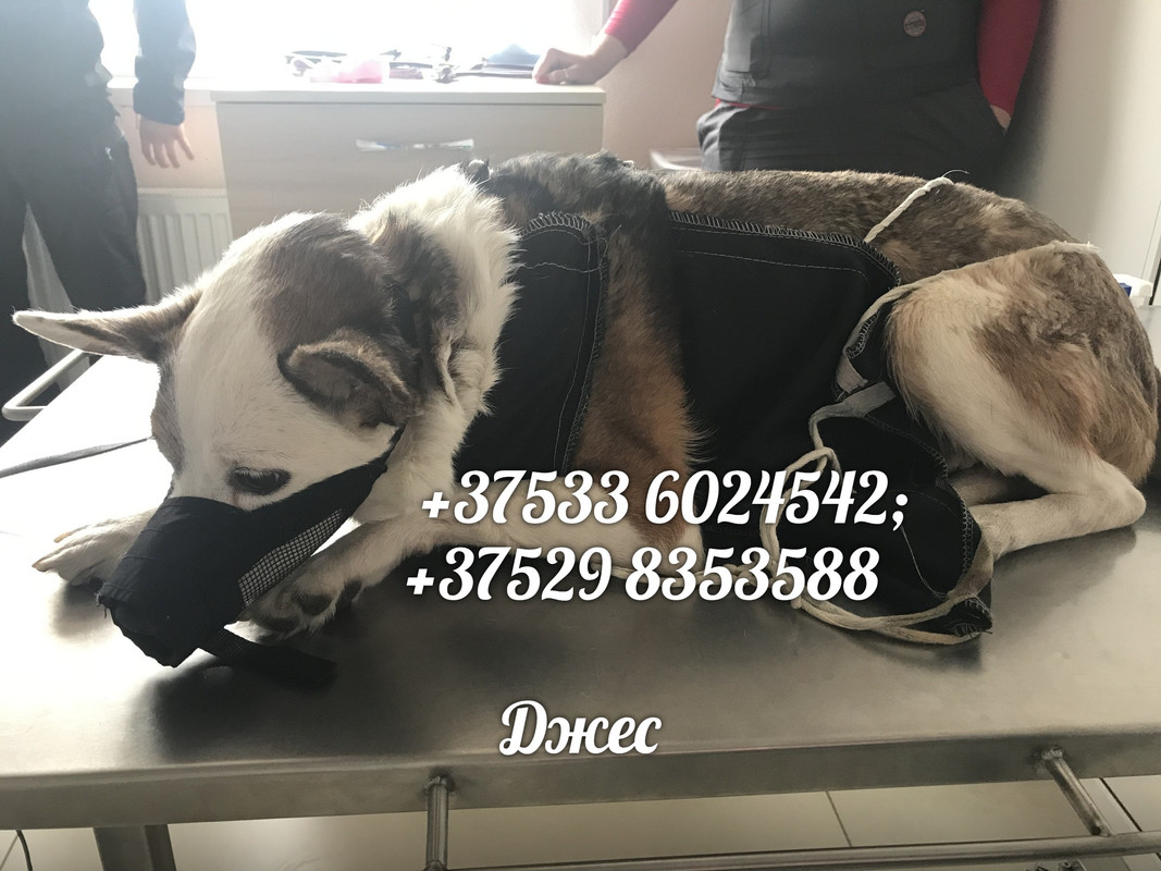 5EF01403-D36F-4F55-9C92-7AD04FA6CCB5