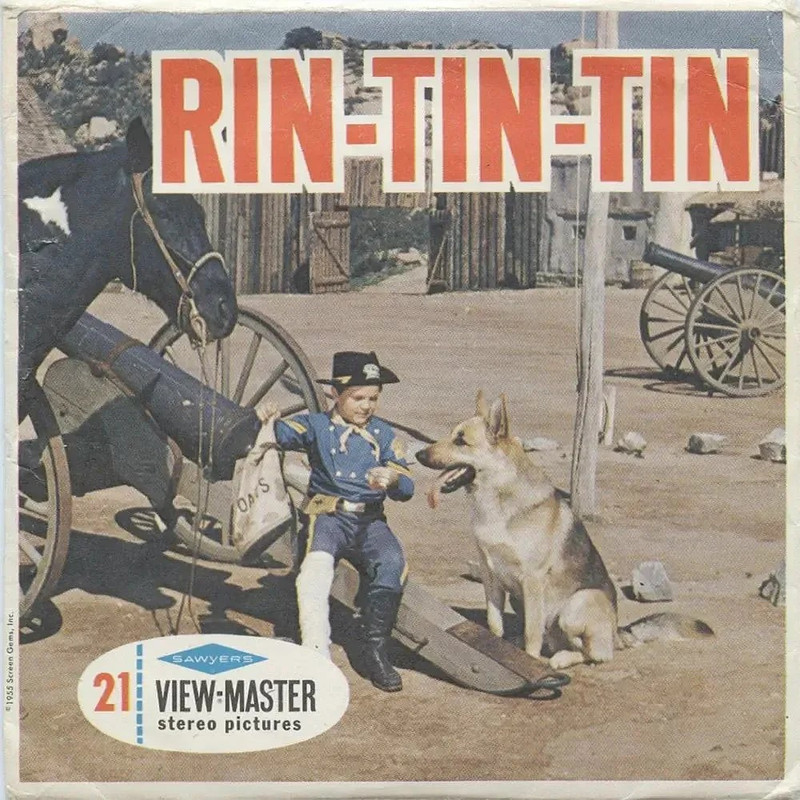 rin tin tin (3)
