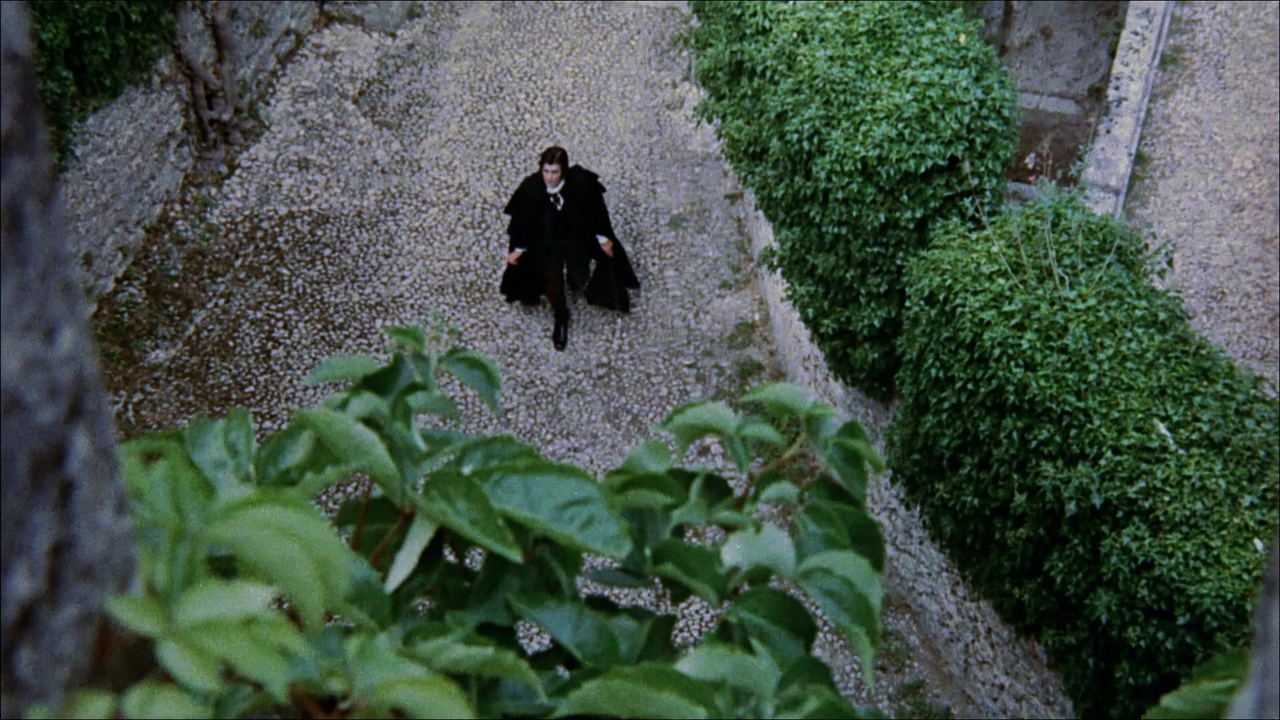 vlcsnap-2022-11-13-11h38m47s209