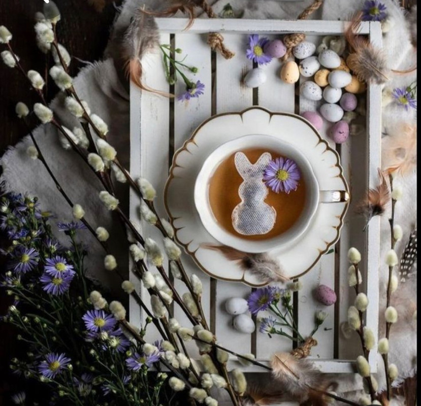 Screenshot_20230328_004530_Pinterest