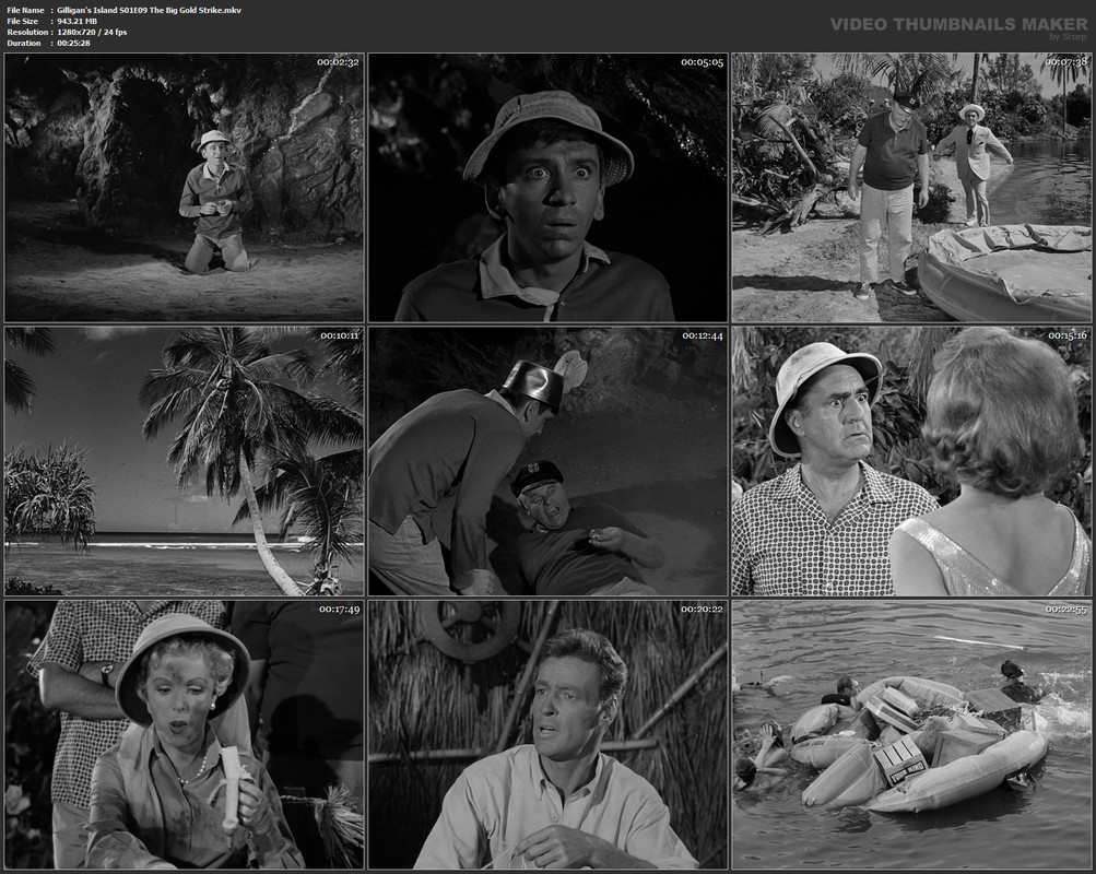 Gilligan's Island S01E09 The Big Gold Strike.mkv