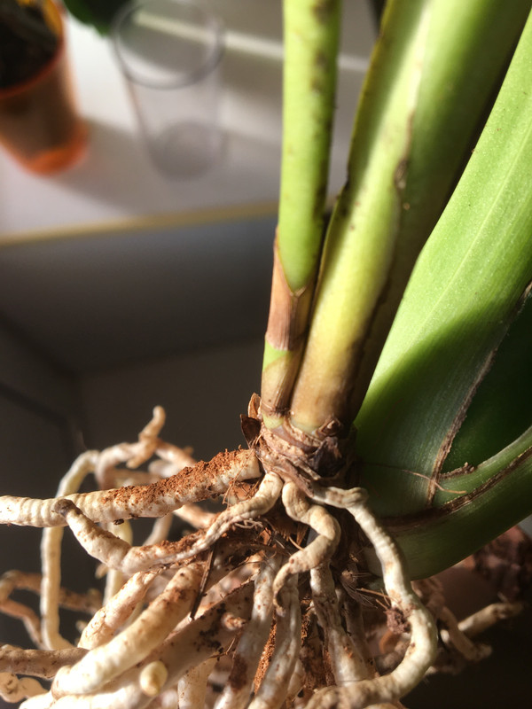 4A581B05-344B-4D66-99CD-DB8D053F2ACF