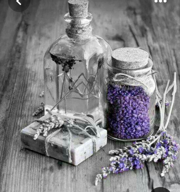 Screenshot_20230409_222458_Pinterest