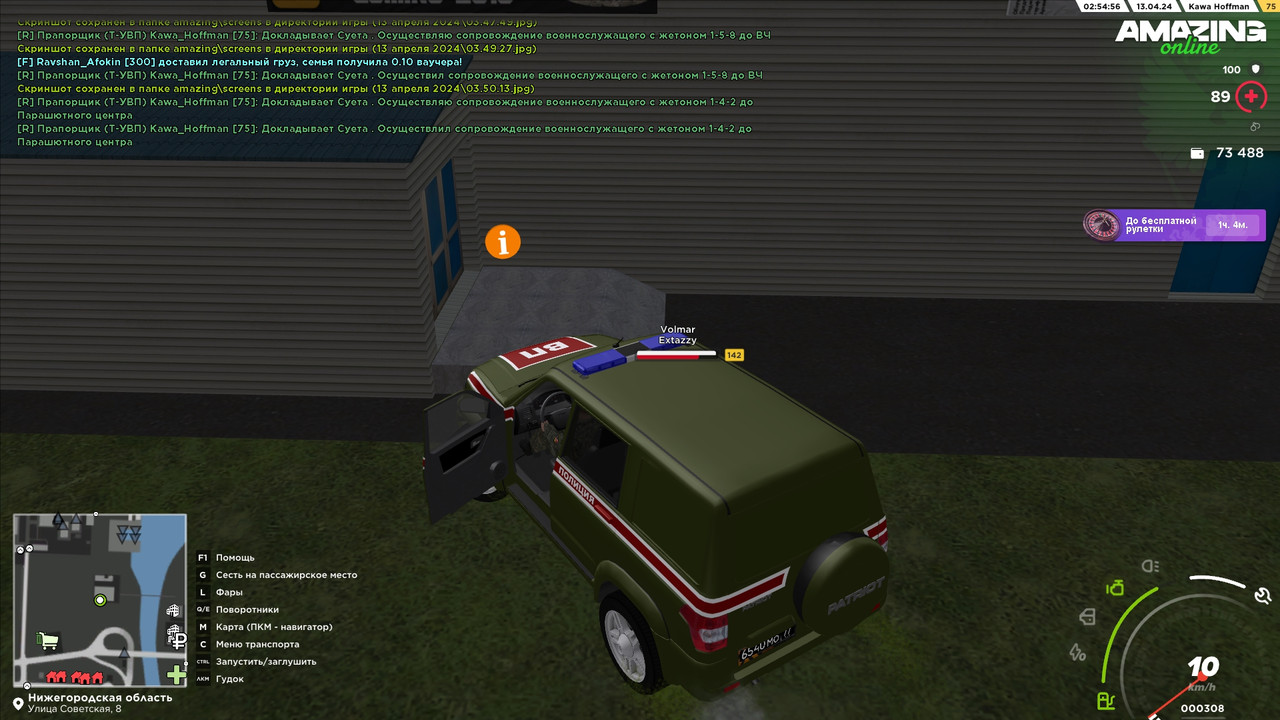 Сопровождение 31