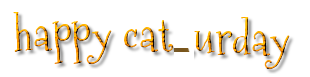 Sans-titre-1