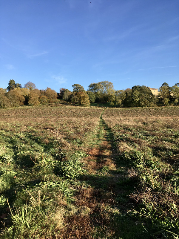 429DBEAA-E99B-43AC-93B5-B736E152559D