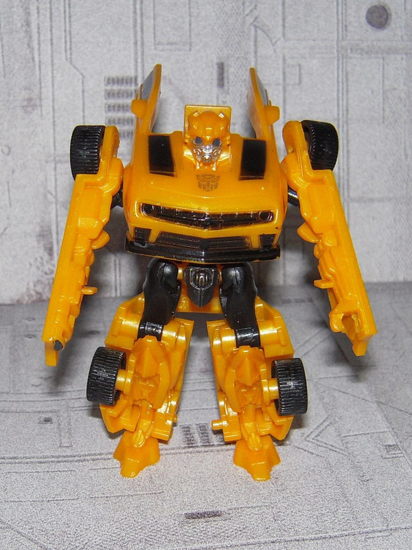 Bumblebee (1)
