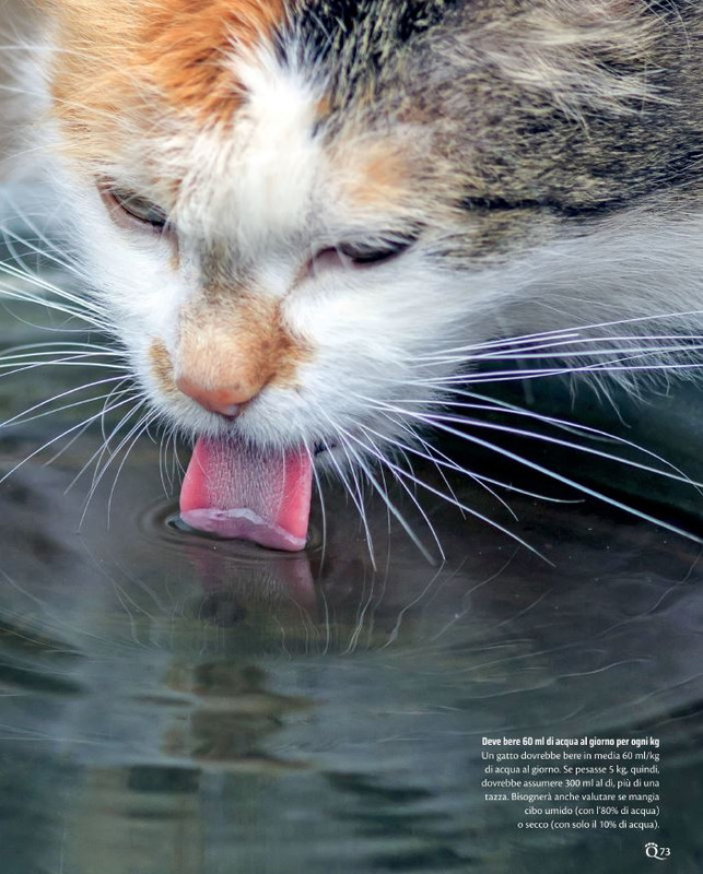 QuattroZampe Ott 2021 (6)