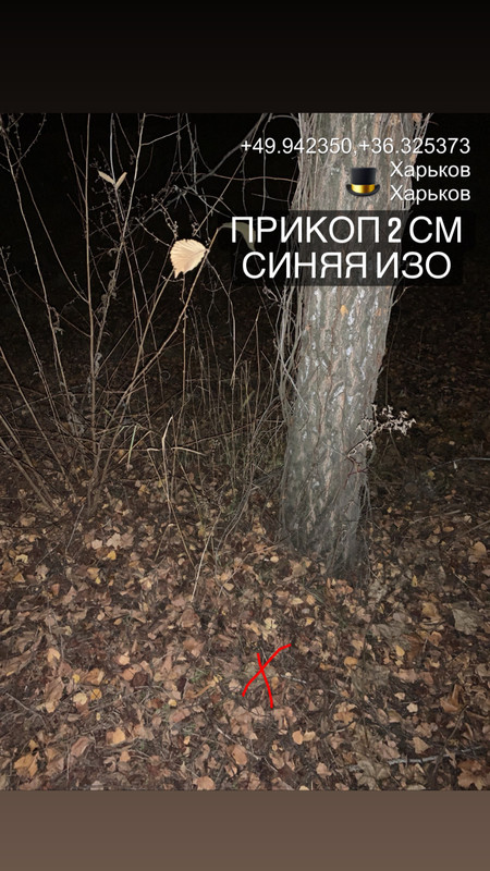 862D1EE0-2E00-4398-AE69-EF625F6A9BC1