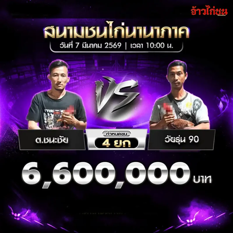 โปรแกรมไก่ชน คู่ ต.ชนะชัย พบ วัยรุ่น 90 สนามชนไก่นานาภาค 7 มีนาคม 2569