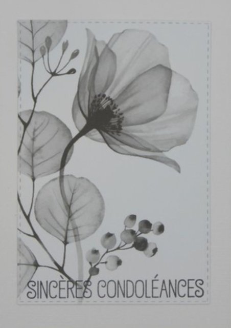 [Image: IMG-0597.jpg]