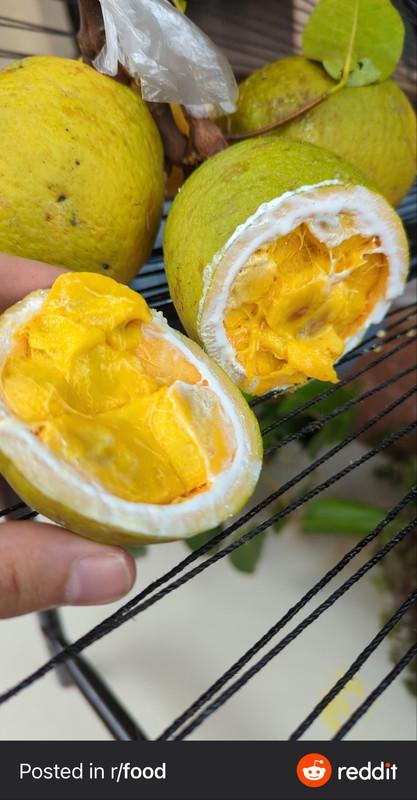 2821EEBE-0413-4B9C-B4DE-4CF37157CE95