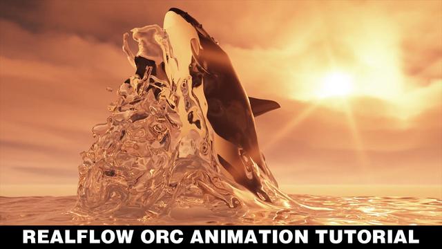 RealFlow Orca Animation Tutorial RealFlow Orca Animation Tutorial