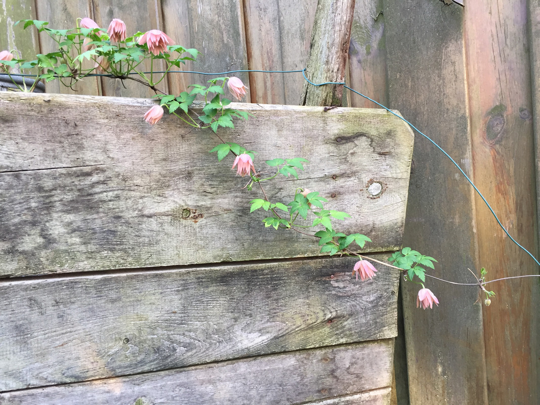 AFD00DD8-9B91-4701-9FB7-8DBF2E03C674