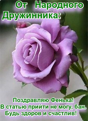 q7zb-Ap-DPd1-A3