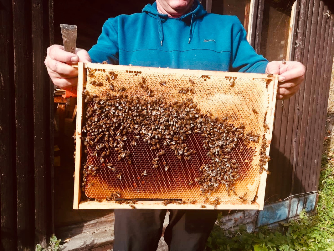 8E92DF62-D2B5-4E3F-B046-E446585D2B1B