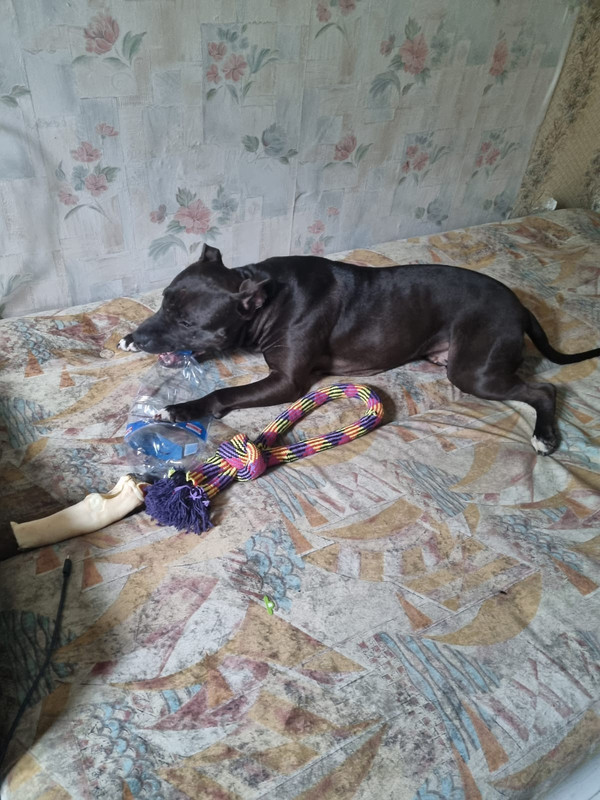 6073A7CE-14E0-4D61-B61D-B0CE74B91135