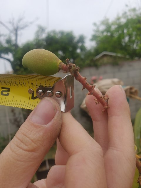 3543BB8F-F860-4F73-884E-AC876D341D6B