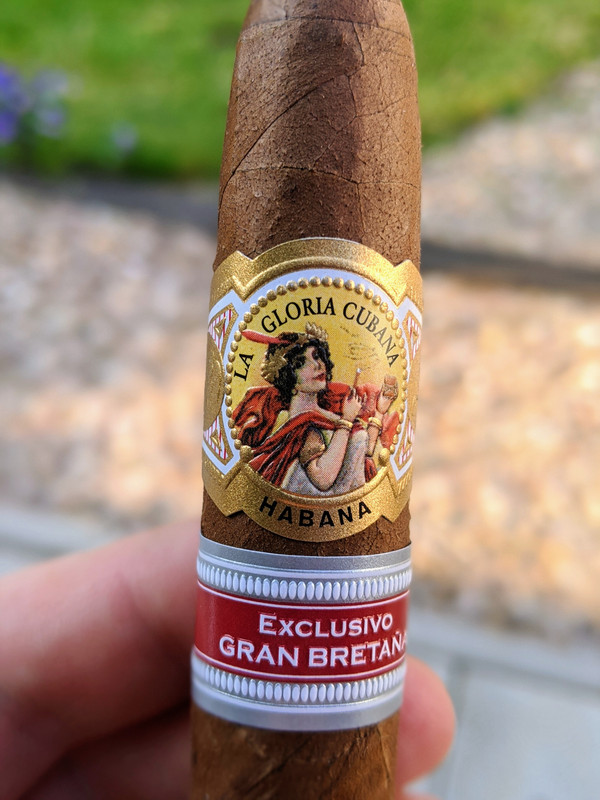 00100lrPORTRAIT_00100_BURST20200623190944338_COVER