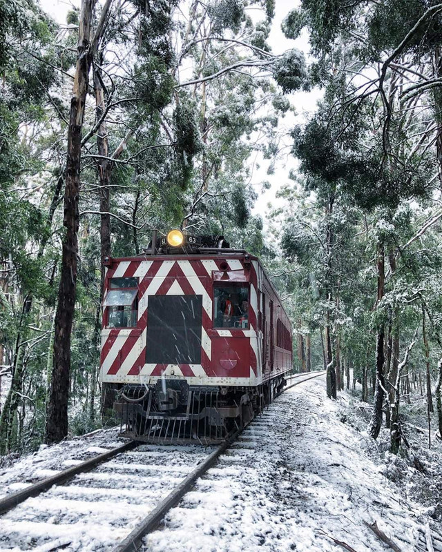 80565375_489693795006060_2530620668110700544_n