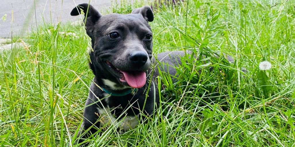 FF1-E42-F7-4492-429-A-A2-CA-5-F2-BEBCFB3-A7