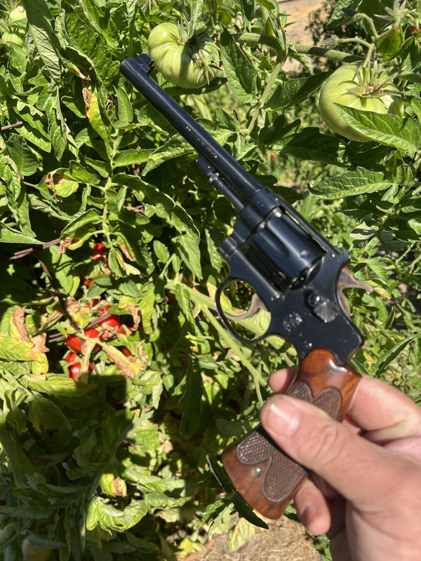 1CF52656-332E-4FC9-AFBC-6B5AAF5A4390