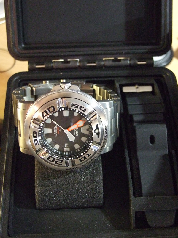 DSCF8676.jpg