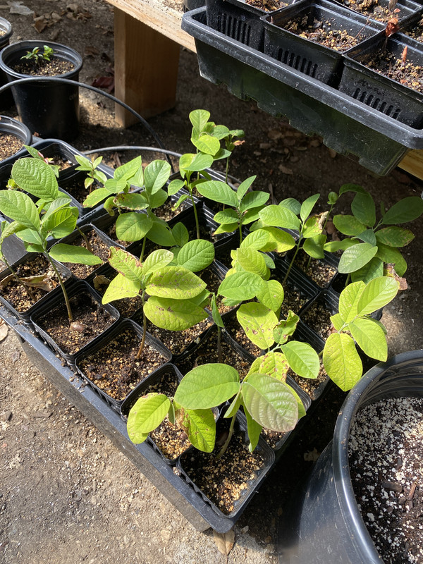 12DD15D4-0D48-4722-A0A6-BB7839DE358A