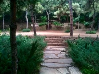 015a7-park2.jpg