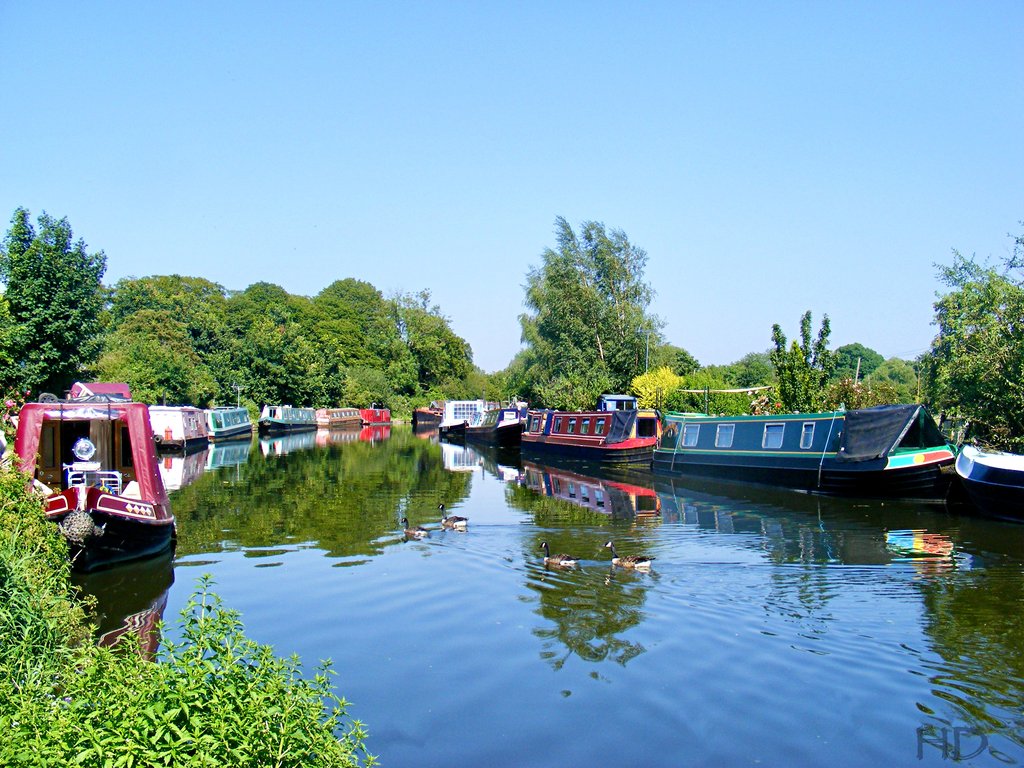 Narrowboats-V-shape.jpg