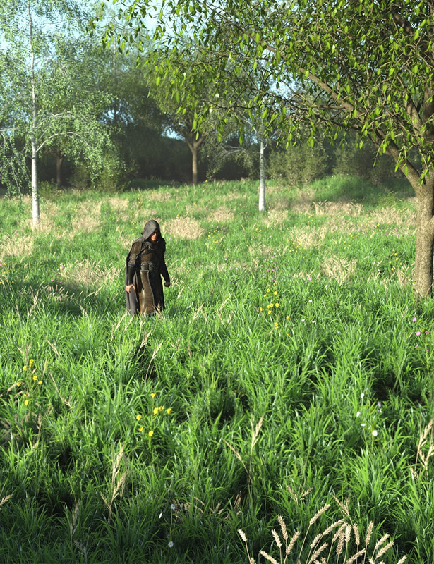 Simple Grasslands Expanse