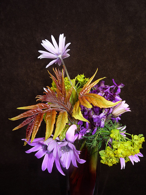 Poljski buketić 03.24. 2