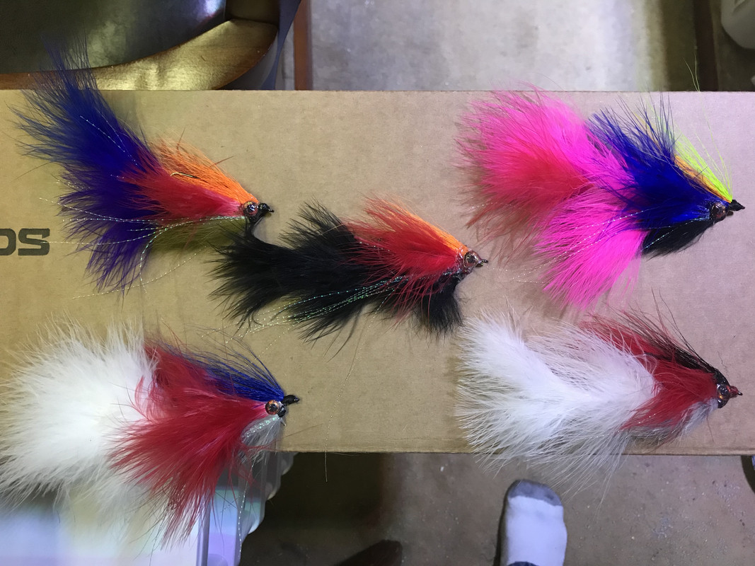 C129F9C9-DA6A-481C-A429-77AE5ADF6001