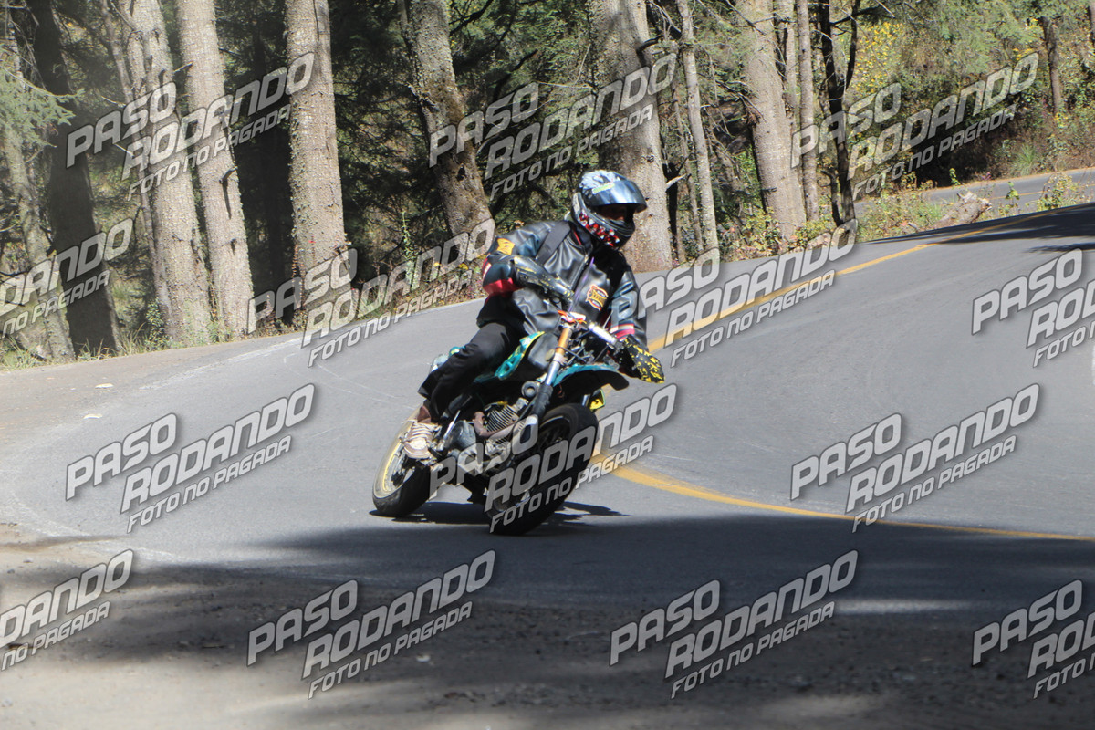IMG 8324 wm 6861677 5 watermarked — Postimages