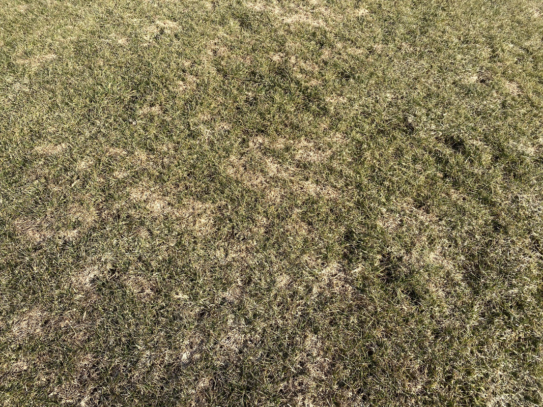 F1EC5BC7-2F3E-4276-AB2D-B2A7CE59E23E