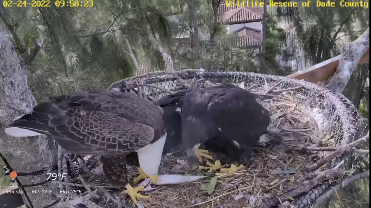 3CB231F9-114D-4B3D-BEFC-062459BEA69B