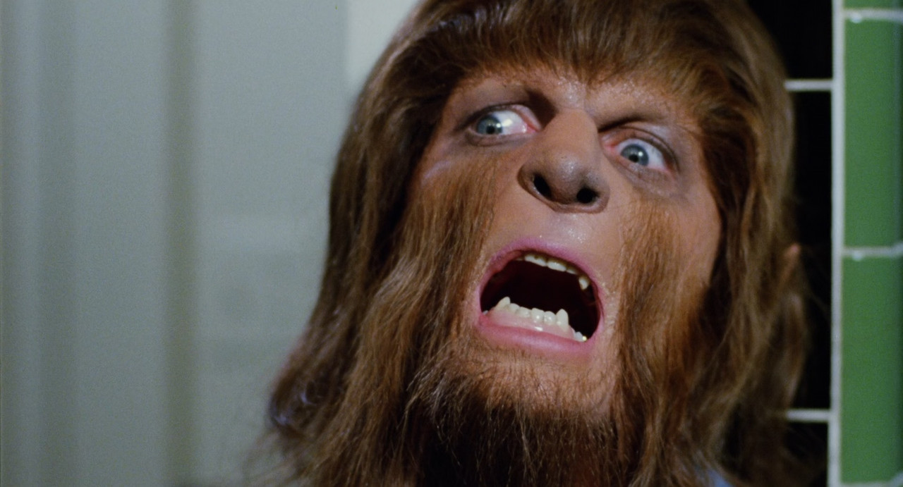 Teen Wolf 1985 CE (1080p x265 10bit Tigole).mkv_snapshot_00.31.1
